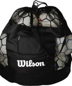 Top 10 😀 Wilson All Sport Ball Bag ⭐