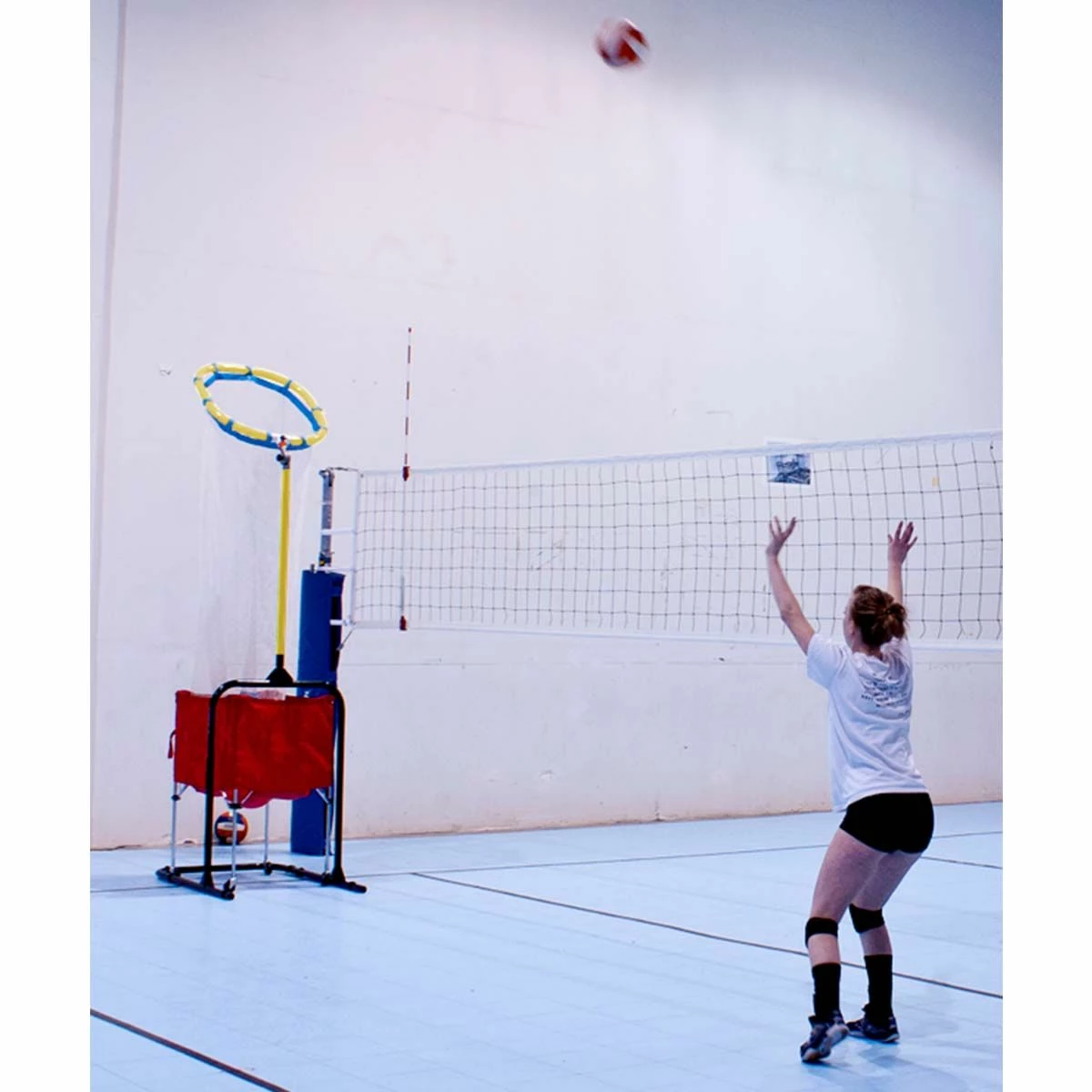 Top 10 ⌛ Park & Sun Spectrum Precision Volleyball Trainer ⌛ 3 Top 10 ⌛ Park & Sun Spectrum Precision Volleyball Trainer ⌛ - Image 3