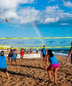 Buy 👍 Park & Sun Spectrum Classic Outdoor Volleyball Net System Denim ✨ -Volleyball Official Shop a25 116 02