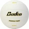 Flash Sale 🎉 Baden VX5E Perfection 15-0 Leather Game Volleyball, WHITE 🛒