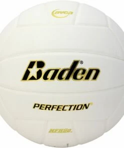 Flash Sale 🎉 Baden VX5E Perfection 15-0 Leather Game Volleyball, WHITE 🛒
