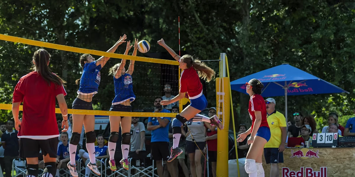 Volleyball Official Shop -Volleyball Official Shop q11